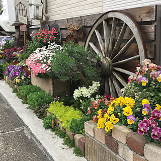 玄関/入り口/車輪/古道具/花壇 手作り/花のある暮らし...などのインテリア実例 - 2018-04-17 06:16:36