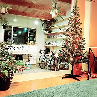 部屋全体/土間/自転車/クリスマス/植物...などのインテリア実例 - 2015-11-29 23:13:36