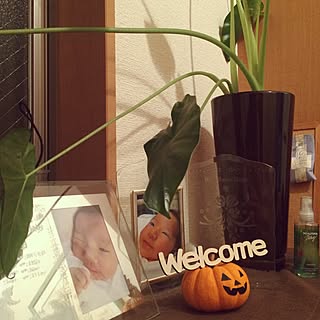 玄関/入り口/クワズイモ/ハロウィン雑貨/観葉植物/北欧テイストめざしたい...などのインテリア実例 - 2015-10-04 00:40:38