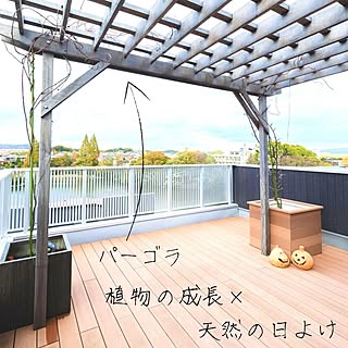 木造注文住宅/人生の景色を変えよう/日よけ/植物のある暮らし/植物...などのインテリア実例 - 2021-12-08 16:53:02