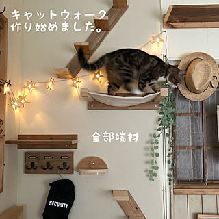 キャットタワー/キャットウォークDIY/キャットウォーク/猫/猫のいる暮らし...などのインテリア実例 - 2022-09-01 20:18:47