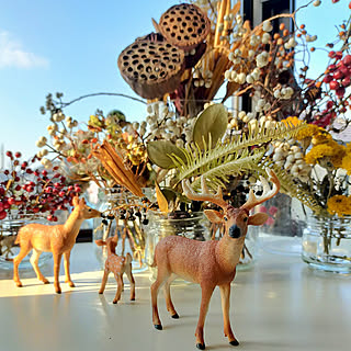 サルトリイバラのインテリア実例 Roomclip ルームクリップ