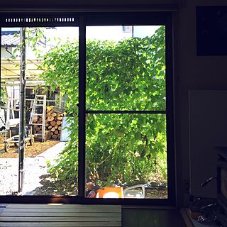 リビング/庭/薪ストーブ/緑のカーテンのインテリア実例 - 2016-08-21 14:17:06