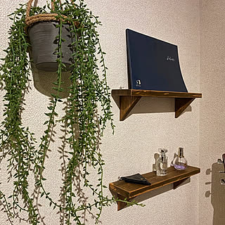 壁/天井/観葉植物/アンティーク/ニトリ/雑貨...などのインテリア実例 - 2021-05-26 22:18:17