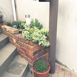 玄関/入り口/植物/ラベンダー/中古住宅/庭のインテリア実例 - 2017-05-15 17:23:18