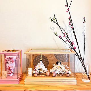 切り込み　立ち雛　ガラスケース入り 切り込み 立ち雛 ガラスケース入り 雛人形 ガラス ケースの人気