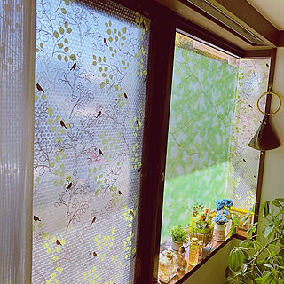 いいね！ありがとうございます◡̈♥︎/観葉植物/ハーバリウム/窓際ディスプレイ/グリーンの窓...などのインテリア実例 - 2020-11-05 11:54:15