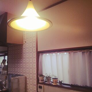 キッチン/古い照明/多肉ちゃん達のインテリア実例 - 2014-12-30 14:49:06