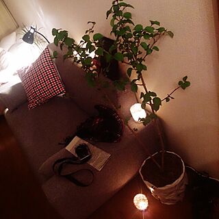 部屋全体/観葉植物増えたよ。/たまにはキャンドルナイト/照明/お気に入り(o’∀’o)のインテリア実例 - 2015-04-17 22:28:54