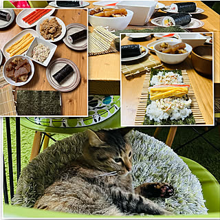 麦わら猫/キジトラ/今日のねこ/好きなもの/夕食...などのインテリア実例 - 2023-02-03 21:20:07