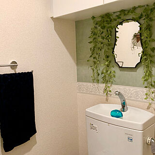 フェイクグリーン/ブルーグレーの壁/ツートン壁紙/reimi mirror/トイレのインテリア...などのインテリア実例 - 2023-02-18 17:30:45
