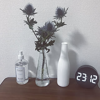 エリンジウム/お花のある暮らし/棚/millefiori /IKEAのインテリア実例 - 2021-03-16 23:14:12