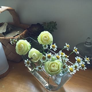 部屋全体/花たち/植物/雑貨/花のある暮らしのインテリア実例 - 2014-05-07 12:55:37