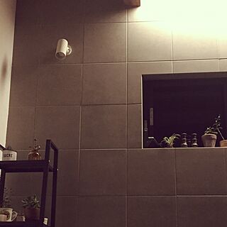 部屋全体/テレビ周り/タイル/多肉植物のインテリア実例 - 2015-10-13 22:40:24