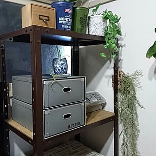 無印良品 硬質パルプボックス いつい 4個セット(CD用) 無印良品 硬質パルプボックス いつい 4個セット(CD用)