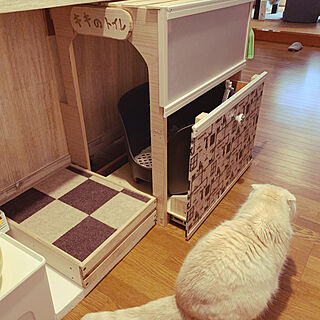 猫スペース/DIY/部屋全体のインテリア実例 - 2020-04-13 22:27:49