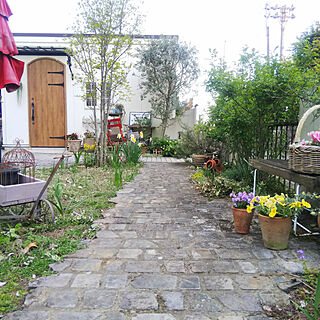 庭/ガーデニング/パリの石畳に憧れて/ガーデン/寄せ植え...などのインテリア実例 - 2021-04-13 20:47:03