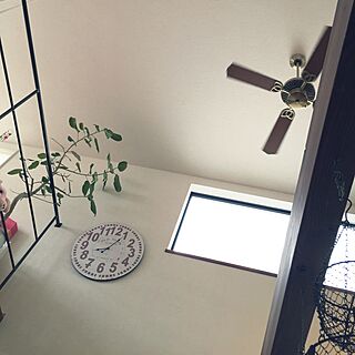 壁/天井/かご大好き♡/観葉植物/さりげなく/DIYのインテリア実例 - 2016-04-24 08:07:46