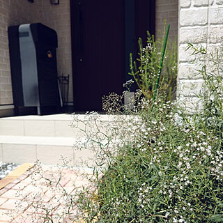 玄関/入り口/花壇の花/花のある暮らし/植物のある暮らし/花のある空間...などのインテリア実例 - 2021-07-15 14:01:31