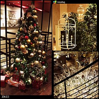 キッチン/忘年会/クリスマスのインテリア実例 - 2016-12-04 16:14:42
