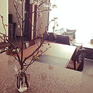 キッチン/観葉植物/無垢の家具/ダイニングテーブル/家具のインテリア実例 - 2015-02-14 08:38:37