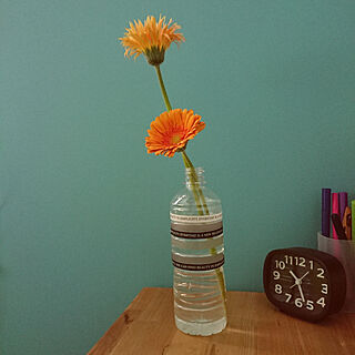机/ガーベラ/花のある暮らし/ペットボトル花瓶/水色の壁...などのインテリア実例 - 2020-03-25 10:27:16