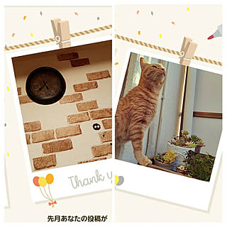 部屋全体/見ていただきありがとうございます☺︎/これからもよろしくお願いします❤/4月もよろしくお願いします！/賃貸でも楽しく♪...などのインテリア実例 - 2021-04-02 08:46:35