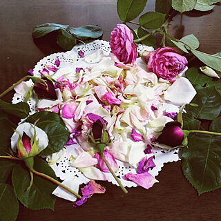 ベッド周り/お花/バラ/薔薇/花のある暮らし...などのインテリア実例 - 2019-05-21 13:25:30