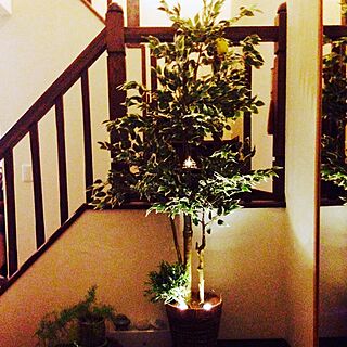 玄関/入り口/フェイク観葉植物/IKEA/小鳥/照明のインテリア実例 - 2016-02-11 21:59:49