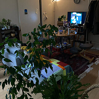 テレビ台/ナチュラルな暮らし/植物のある部屋/古い家/観葉植物...などのインテリア実例 - 2022-01-30 18:33:05