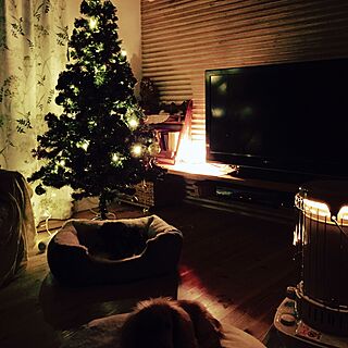 部屋全体/夜/犬と暮らす/犬/クリスマスツリー...などのインテリア実例 - 2015-11-27 21:44:40