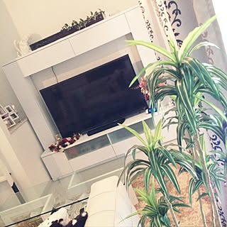 ハイタイプのテレビボードのおすすめ商品とおしゃれな実例 | RoomClip