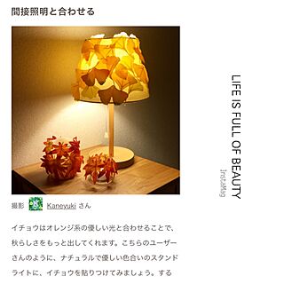 秋色/スタンドライトリメイク/無印良品/記録/RoomClip mag...などのインテリア実例 - 2017-05-09 16:28:02