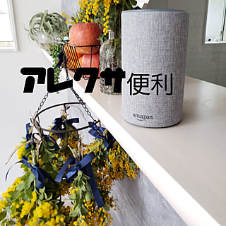 棚/アレクサ/GoogleHome/グーグルホーム/ドライフラワーのある暮らし...などのインテリア実例 - 2020-03-14 22:06:23