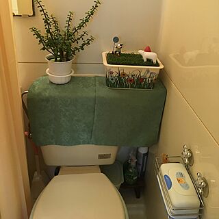 バス/トイレ/100均/観葉植物/DIY/DAISO、キャンドゥのインテリア実例 - 2017-01-20 15:02:15