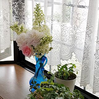 部屋全体/いいね！ありがとうございます♪/出窓のグリーン/琉球ガラスの花器のインテリア実例 - 2017-06-17 10:34:37