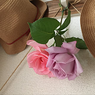 何薔薇かわからん/ナチュラルが好き/こどもと暮らす。/建売を自分好みに♡/いいねと、フォローの押し逃げすみません！...などのインテリア実例 - 2020-05-16 16:56:54