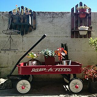 壁/天井/アメリカンヴィンテージ/おきにいり空間/グリーンのある暮らし/いつもありがとうございます♪感謝☆...などのインテリア実例 - 2016-07-03 08:51:11