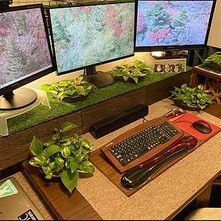 観葉植物のある部屋/テレワークスペース/腕時計収納/パソコンスペース/プラモデル...などのインテリア実例 - 2021-11-21 16:19:22