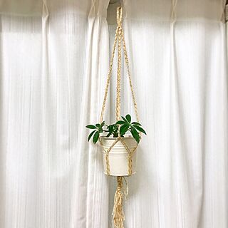ベッド周り/プラントハンガー作りました/観葉植物/ハンドメイドのインテリア実例 - 2017-01-14 19:27:22