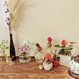 棚/緑のある暮らし/お花のある暮らし/観葉植物/花瓶...などのインテリア実例 - 2022-01-03 20:19:42