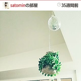 部屋全体/ダイソー/イベント参加/100均10分でできる/下手な鉄砲も数撃ちゃ当たる...などのインテリア実例 - 2016-12-19 23:18:45