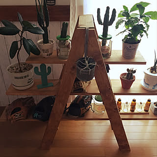 棚/セリア/観葉植物/カフェ風/DIY...などのインテリア実例 - 2018-05-30 21:17:48