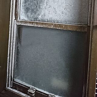 キッチン/寒波/凍った窓/ビックリしすぎて投稿のインテリア実例 - 2018-01-25 07:00:57