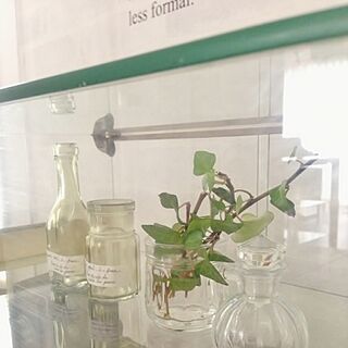 棚/ガラスの小瓶/ガラスケース/グリーン/セリアのインテリア実例 - 2013-07-06 14:52:44
