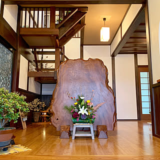 衝立ついたて 玄関飾り 木根