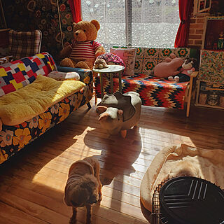部屋全体/カラフル/犬と猫と暮らす/椅子好き。/動物モチーフ好き...などのインテリア実例 - 2022-03-16 22:43:59