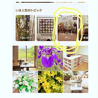 机/ベランダガーデン/多肉植物のある暮らし/花のある暮らし/癒し·͜·ᰔᩚ...などのインテリア実例 - 2024-04-30 13:14:28