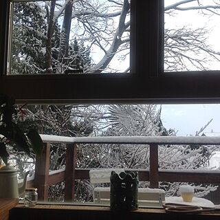 窓からの眺め/雪景色のインテリア実例 - 2014-01-19 09:09:48