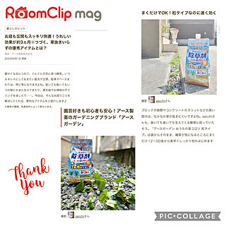 掲載ありがとうございます♡/RoomClip mag/アースガーデン/植物のある暮らし/暮らしのハンドブック2023...などのインテリア実例 - 2023-06-08 16:21:14